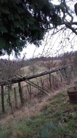 Casale in vendita a Ponzone - Foto 16