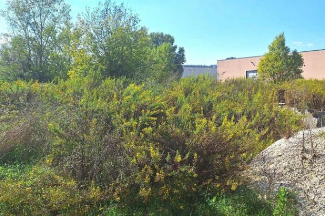 Immobile in asta di 5280 m² in vendita a Recanati - Foto 9