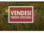 Area verde in vendita a Verucchio
