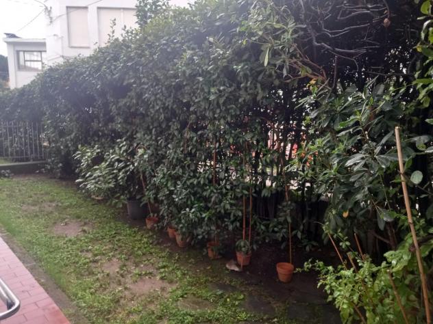Appartamento in vendita a Massa 83 mq Rif: 1383512
