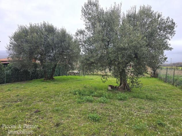 Quadrilocale in vendita a Tuoro sul Trasimeno