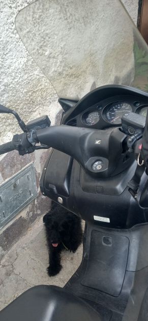 Honda Silver wing