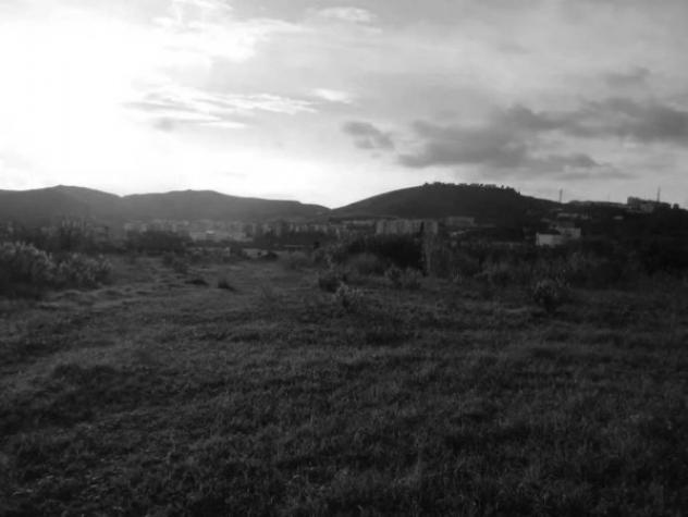 Immobile in asta di 57122 m² in vendita a Catanzaro - Foto 4