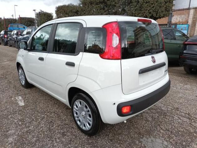 FIAT Panda 1000 HYBRID PANDINA POP 65CV ITALIA rif. 23999454 - Foto 3