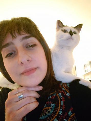 Cat e dog sitter