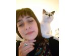 Cat e dog sitter