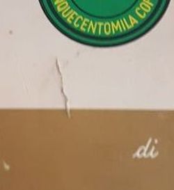 Hassel - Maledetti da Dio - Foto 2