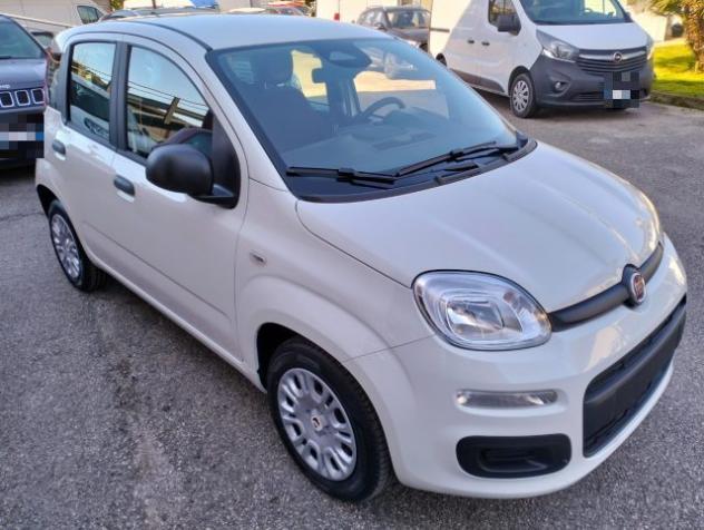 FIAT Pandina 1.0 FireFly S&S Hybrid rif. 23182868 - Foto 3
