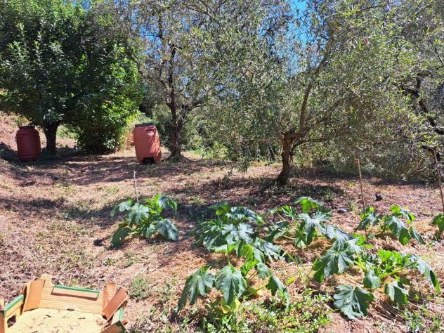 Casa singola in vendita a Mirteto - Massa 135 mq Rif: 1177447