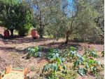 Casa singola in vendita a Mirteto - Massa 135 mq  Rif: 1177447