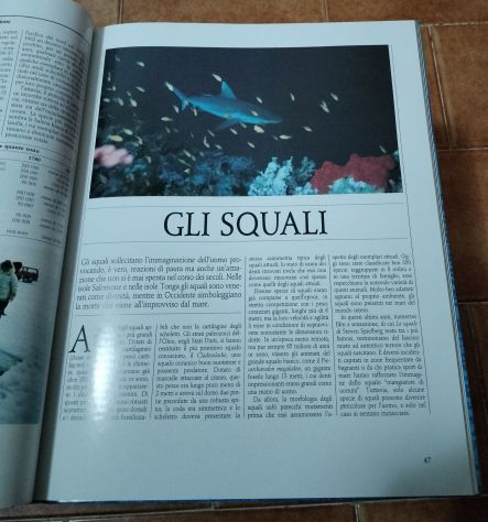 Mari e oceani Gli animali e il loro ambiente - Foto 3