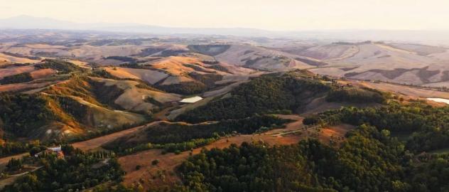 Rustico in vendita a Asciano 9500 mq Rif: 1340021 - Foto 4