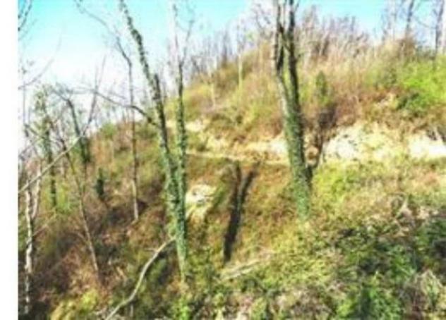 Immobile in asta di 258860 m² in vendita a Attimis - Foto 2