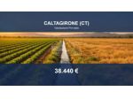 Immobile in asta di 41613 m² in vendita a Caltagirone