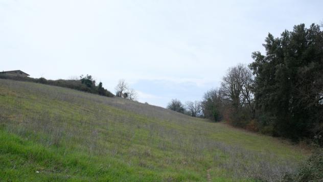 Rustico in vendita a Lugnano in Teverina - Foto 5