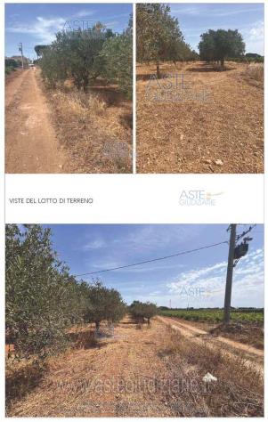 IMMOBILI-ALTRA CATEGORIA-Contrada Gurgo - Foto 2