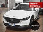 Mazda CX-30 2.0L Mazda M Hybrid 122cv Skyactiv-G Evolve
