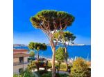 Villa Magnolia