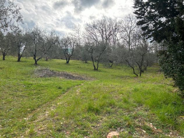 Terreno agricolo in vendita a Corniola - Empoli 20000 mq Rif: 1099670 - Foto 6