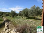 Terreno agricolo a Giarratana con pozzo artesiano