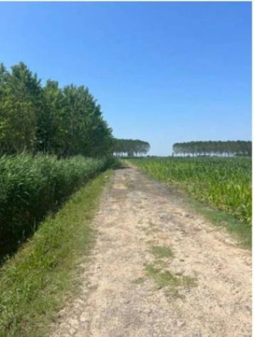 Immobile in asta di 21400 m² in vendita a Villimpenta - Foto 3