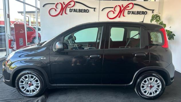 FIAT Panda 1.0 FireFly 70cv S&S Hybrid - Foto 4