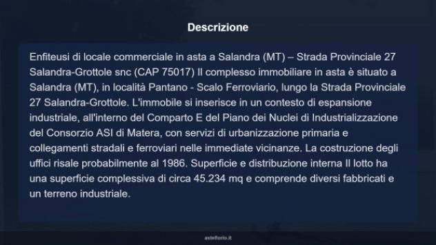 Immobile in asta di 45234 m² in vendita a Salandra - Foto 10