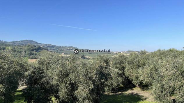 Cartoceto non lontano dal piccolo borgo medievale, in posizione elevata, dominante sull'intera vallata, facilmente raggiungibile dalle principali vie - Foto 14