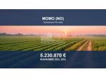 Immobile in asta di 2087774 m² in vendita a Momo