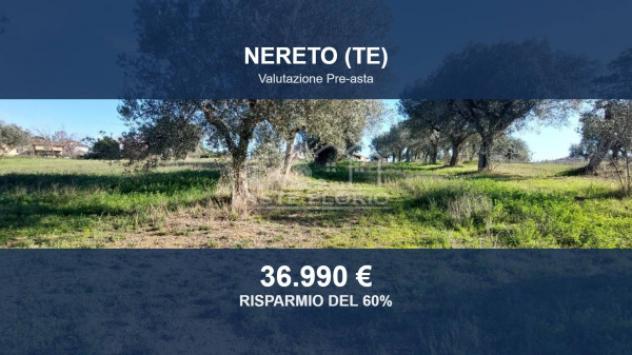 Immobile in asta di 6583 m² in vendita a Nereto