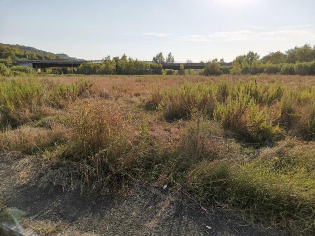 Terreno ed. ind.le/artig.le in vendita a Badia a Elmi - San Gimignano 35000 mq Rif: 1190251