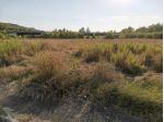 Terreno ed. ind.le/artig.le in vendita a Badia a Elmi - San Gimignano 35000 &hellip;