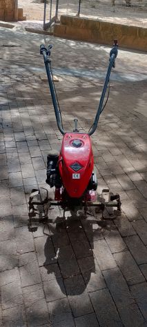 Motozappa Brumi Pulce con motore Ducati