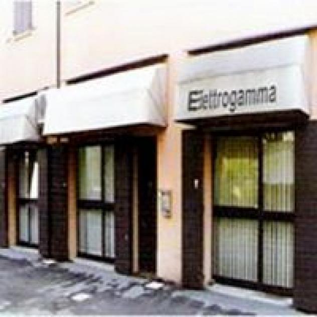 Elettrogamma
