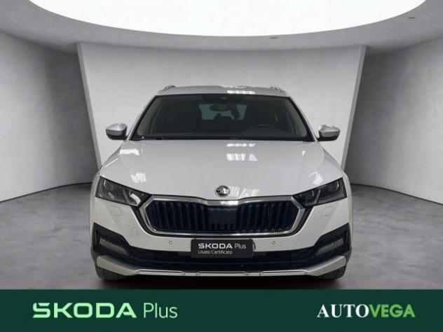 SKODA Octavia wagon 2.0 tdi evo scout 4x4 150cv dsg rif. 24194107 - Foto 2