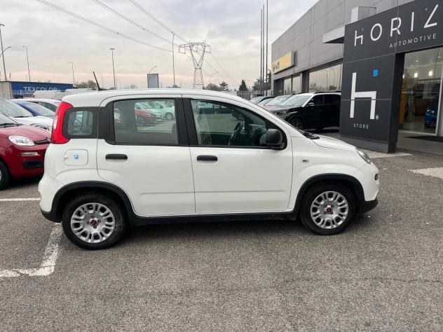 FIAT Panda Panda 1.0 FireFly S&S Hybrid - Foto 5