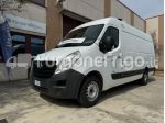 Opel Movano Opel Movano Coibentato Isotermico Frigorifero