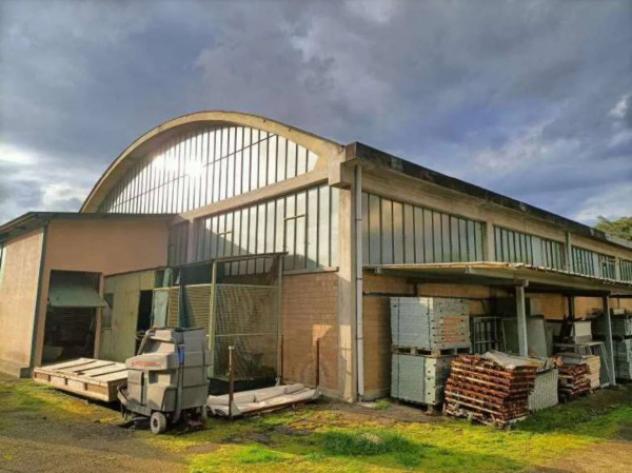 Immobile in asta di 1761 m² in vendita a Pesaro - Foto 3
