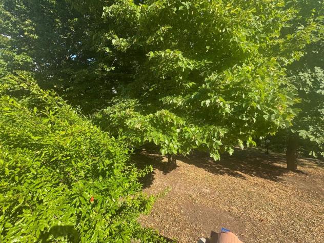Colonica in vendita a Monteriggioni 210 mq Rif: 1334984 - Foto 10