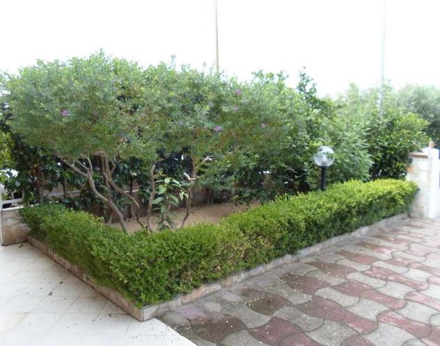 V000550 - Villapiana Lido - Foto 3