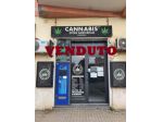 Negozio - Ladispoli . Rif.: Cod. rif 3290444VCG