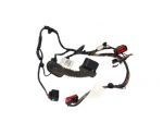 Cablaggio Porta Posteriore Sinistra Ford S Max 6G9T14240 1541888 - 07380