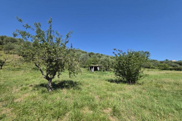 Terreno di 12000 m² in vendita a Guidonia Montecelio - Foto 5