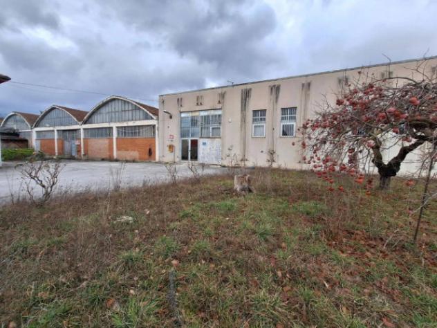 Immobile in asta di 12940 m² in vendita a Matelica - Foto 12