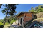 Soldano - ZONA COLLINARE VENDESI RUSTICO CON GIARDINO CONDOMINIALE