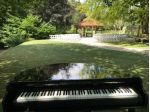 Pianista classico per sottofondi a Stresa