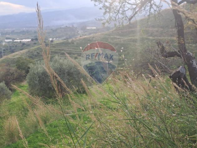 Terreno in vendita a Calatabiano - Foto 4