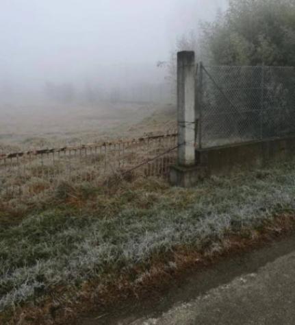 Immobile in asta di 4160 m² in vendita a Caorso - Foto 5