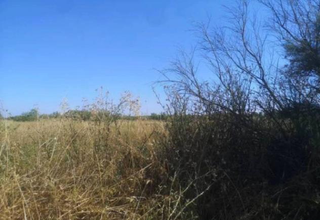 Immobile in asta di 89313 m² in vendita a Fiumicino - Foto 10