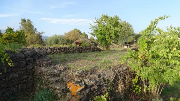 Area verde in vendita a Mascalucia
